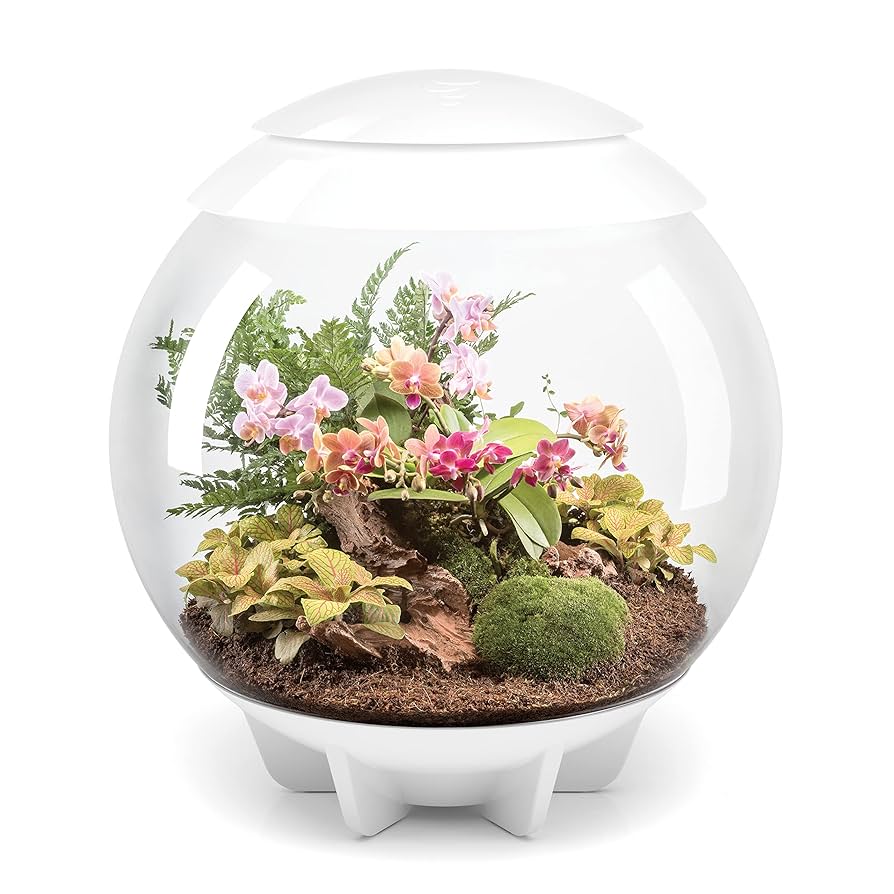 biOrb☆バイオーブエアー60☆ホワイト Amazon｜biOrb バイオーブエアー60 No.46147 ホワイト 植物育成